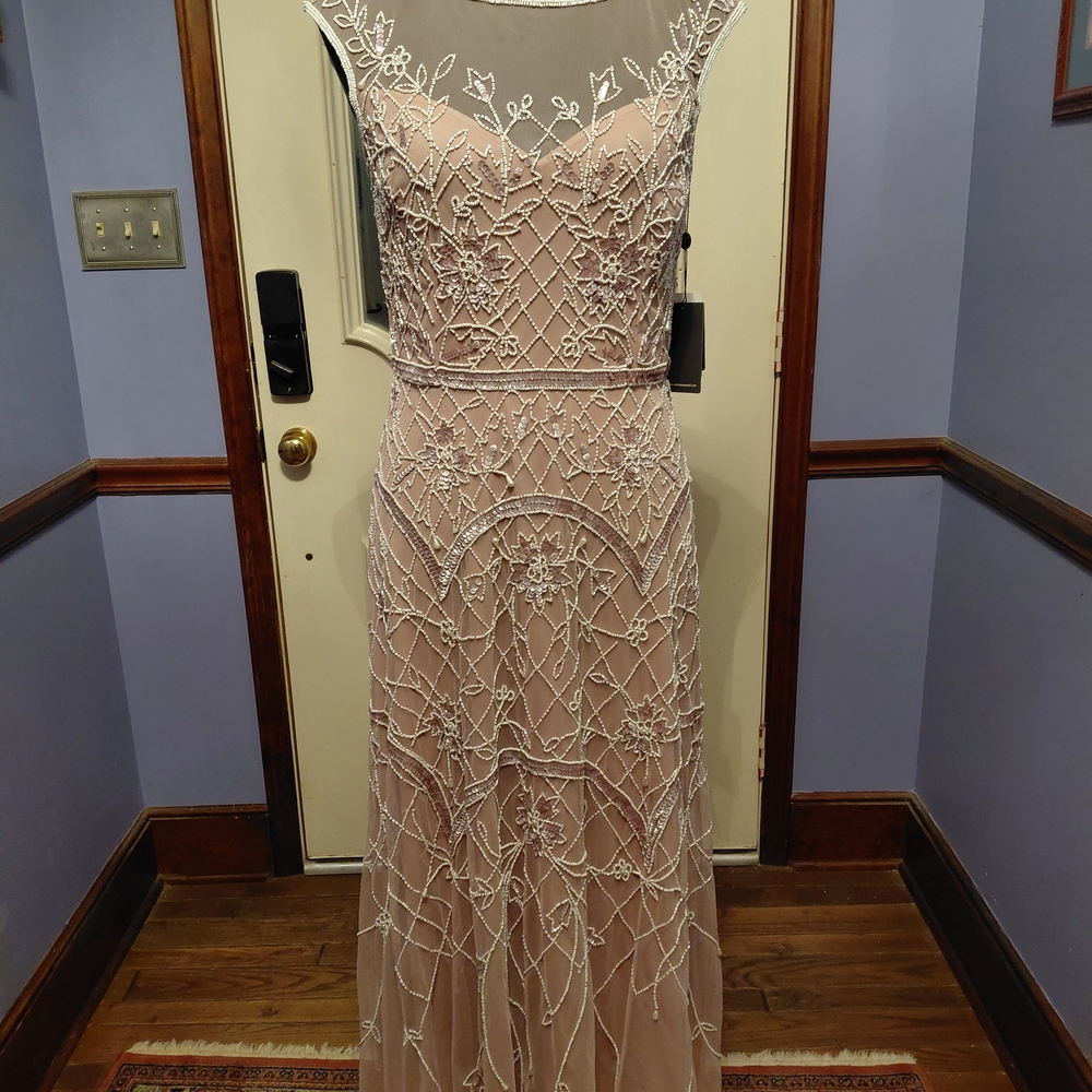 Embroidered Mesh Maxi Dress in Blush